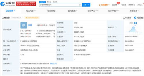 多益網(wǎng)絡(luò)新增被執(zhí)行人信息，曾研發(fā)《神武》系列游戲