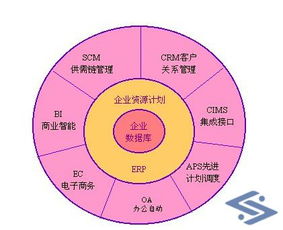 四川頂尖電子商務(wù)開發(fā)公司推薦 打造專業(yè)商城網(wǎng)站與網(wǎng)絡(luò)開發(fā)解決方案